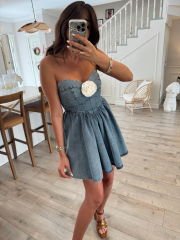 Roses Denim Denim Elbise