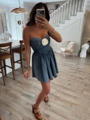 Roses Denim Denim Elbise