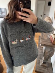 Color Life Armalı Yün Kazak Gri